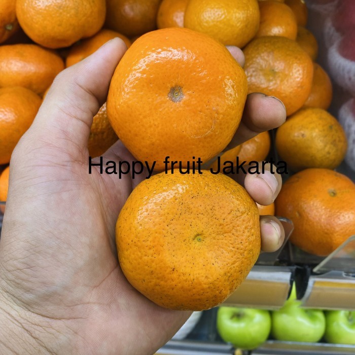 

Promo jeruk afourer australia fresh tampa biji manis 1 kg