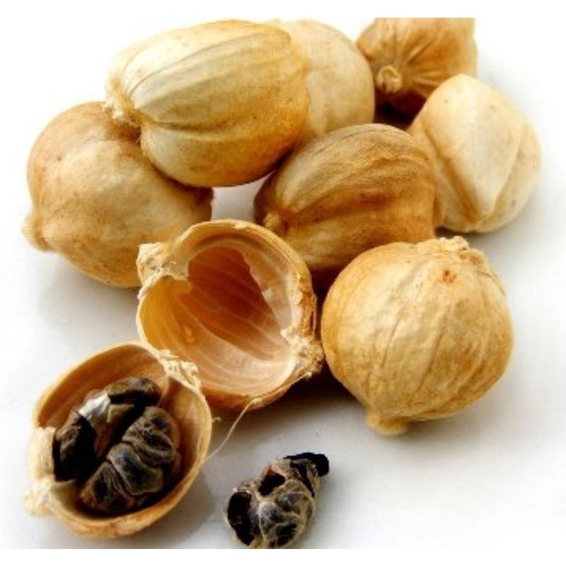 

Termurah Kapulaga/kapulogo/kapol kering 1kg kualitas super