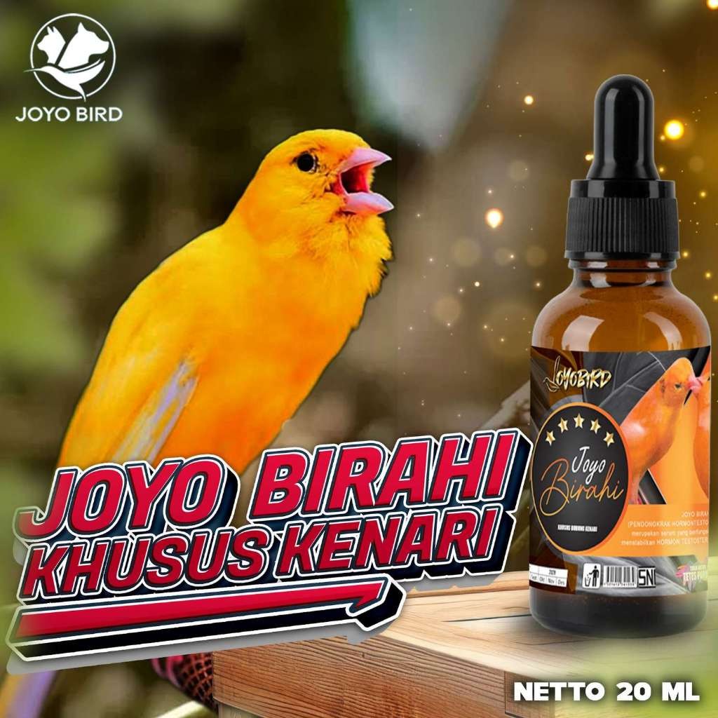 OBAT BURUNG PENDONGKRAK BIRAHI KENARI | VITAMIN BURUNG PENDONGKRAK BIRAHI TESTOTERON & ESTEROGEN | M
