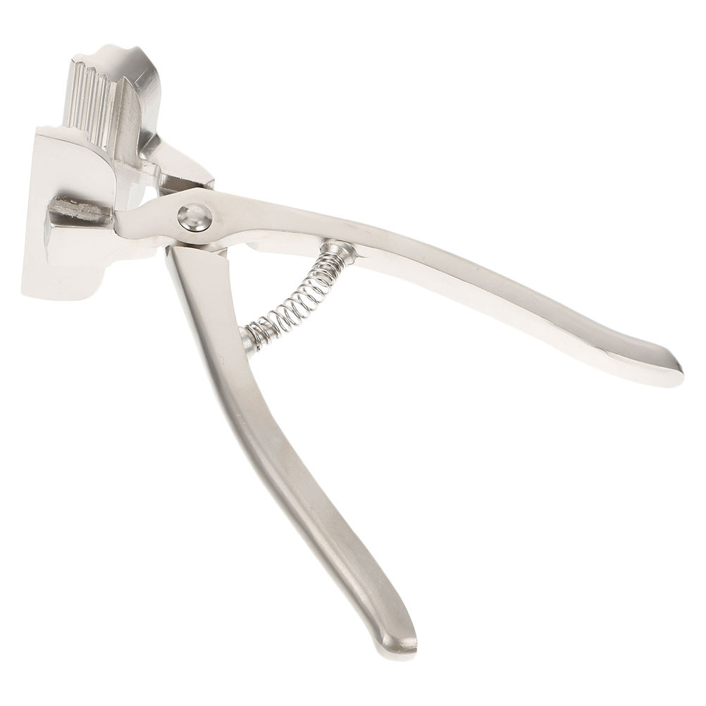 

Wide Mouth Canvas Plier Durable Lightweight Painting Accessories Canvas Clip Canvas Stretching Plier Canvas Tension Clamp Art