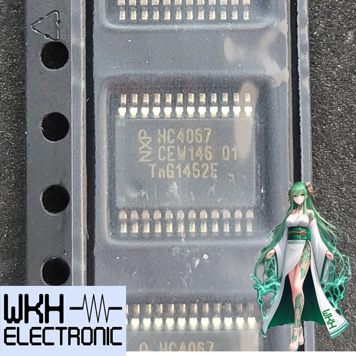 (BACA DESKRIPSI) ORIGINAL IC SMD 74HC4067DB SSOP-24 74HC4067 HC4067 Multiplexer Demux