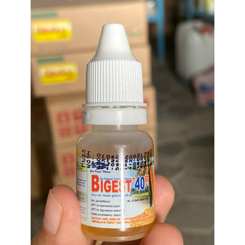 BIGEST 10 ML ZAT PENGATUR TUMBUH / BIGEST 10ML ZPT ORIGINAL