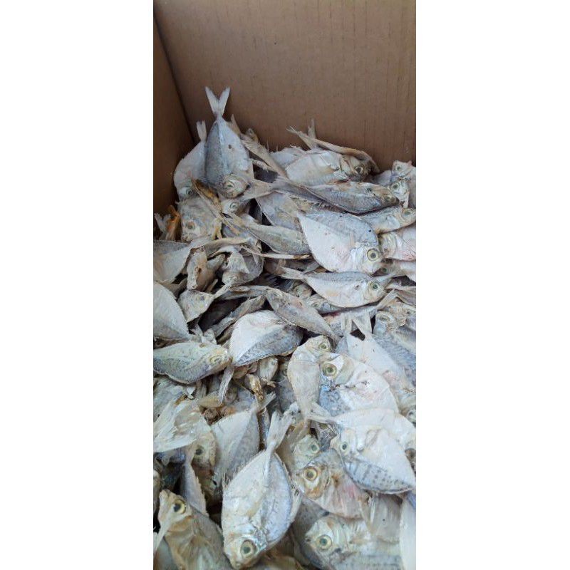 

TermurahTeri asin petek/pirik kering 1kgnew