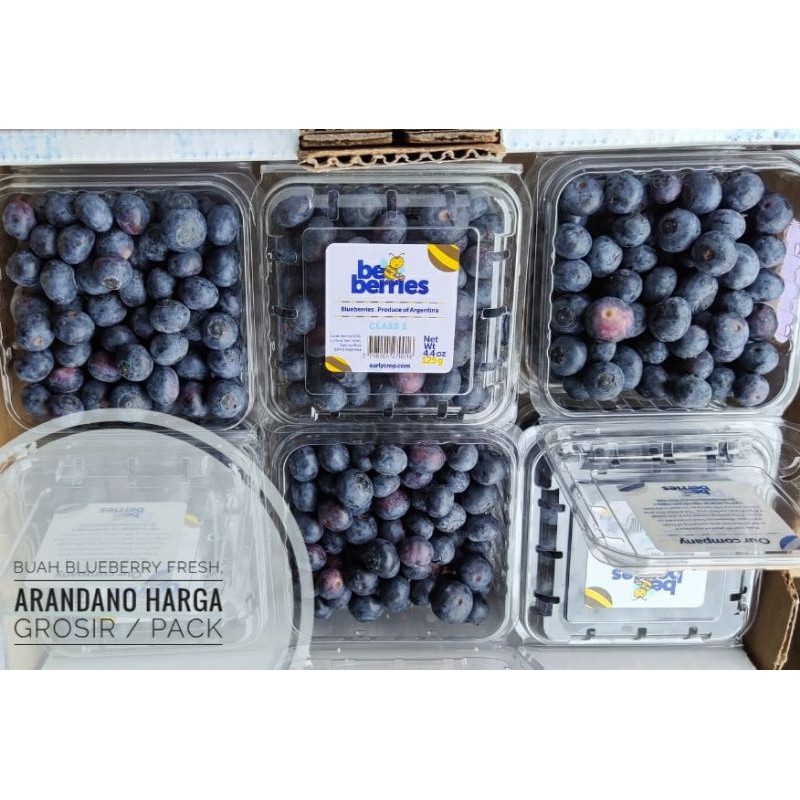 UD BUAH 3 SAUDARA BUAH BLUEBERRY IMPORT FRESH