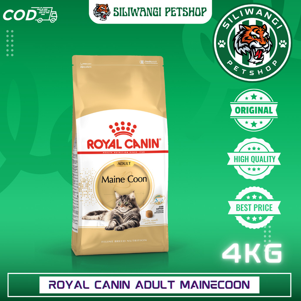 ROYAL CANIN MAINE COON ADULT 4KG
