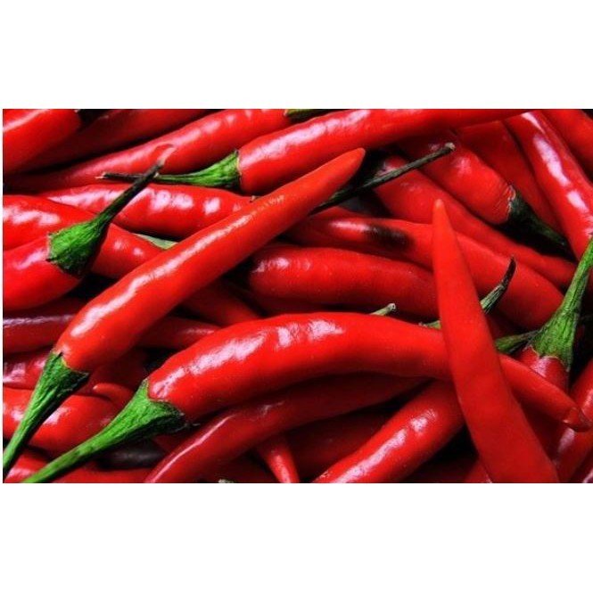 

Dapur Sayur Cabe Merah Besar 500 gr