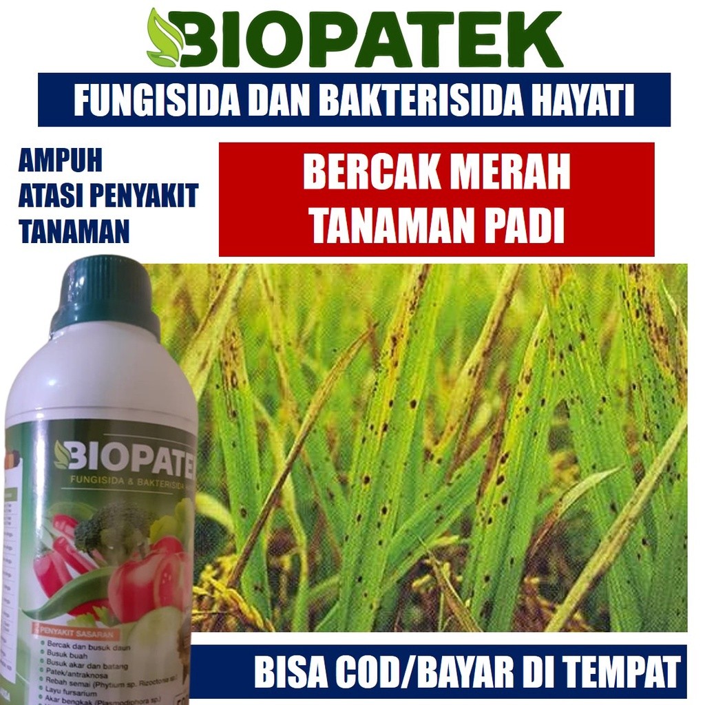 Fungisida BIOPATEK 500 ML / Obat Bercak Merah Padi / Untuk Mengendalikan Penyakit Merah Pada Padi Sa