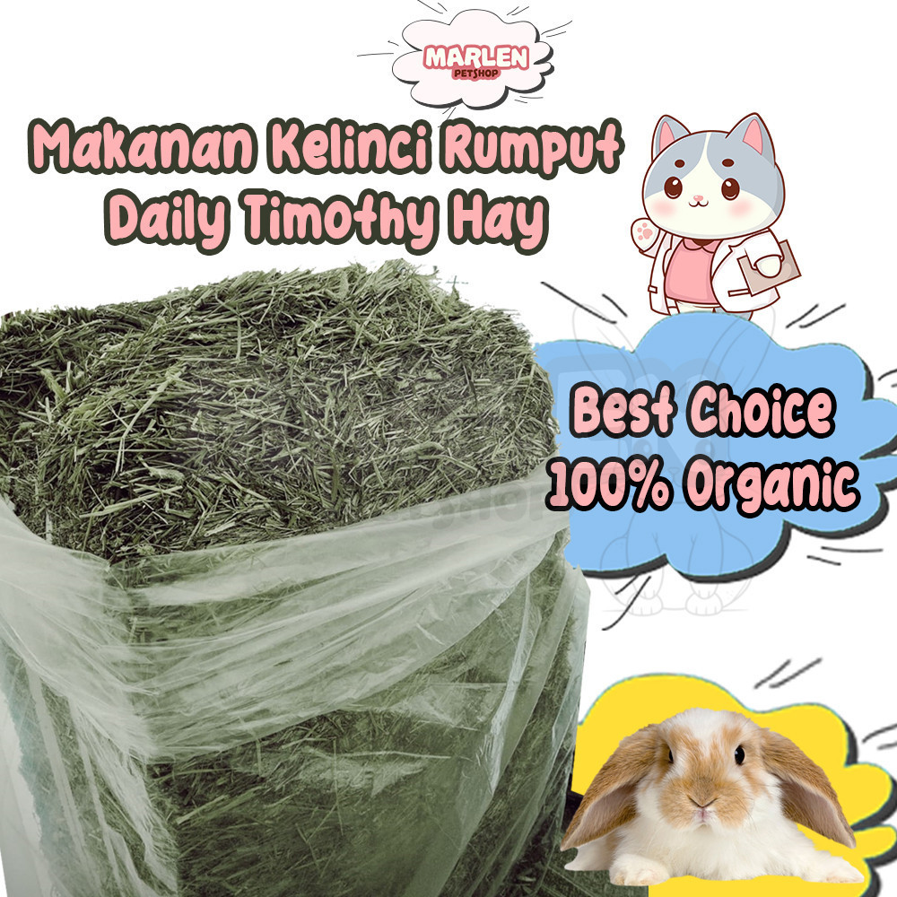 Makanan Kelinci Rumput Daily Timothy Hay Best Choice 100% Organic 500gr