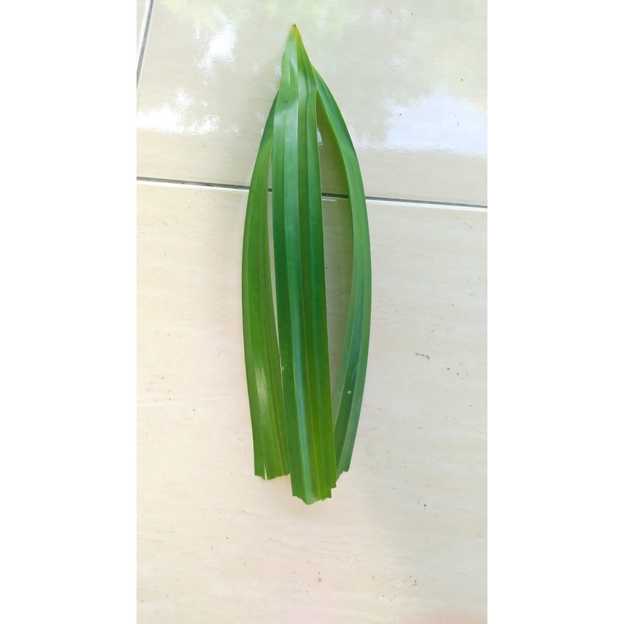 

Daun Pandan Wangi 100 gr