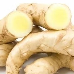 

Kunyit Putih Segar 1 kg . Asli Herbal Curcuma Zedoria Jamu Kunyit Asam Minuman Herbal Obat.