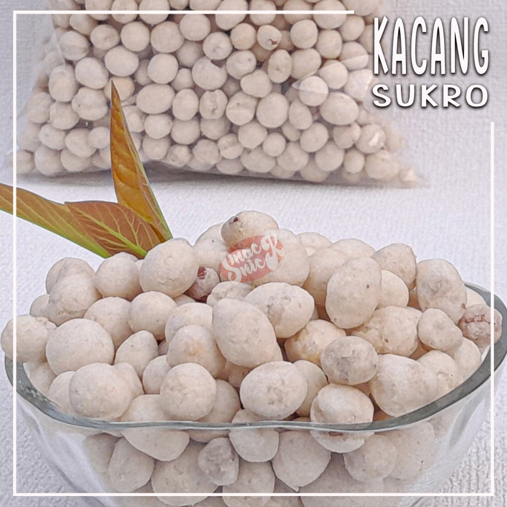

Kacang Sukro 1kg sukro putih kacang atom