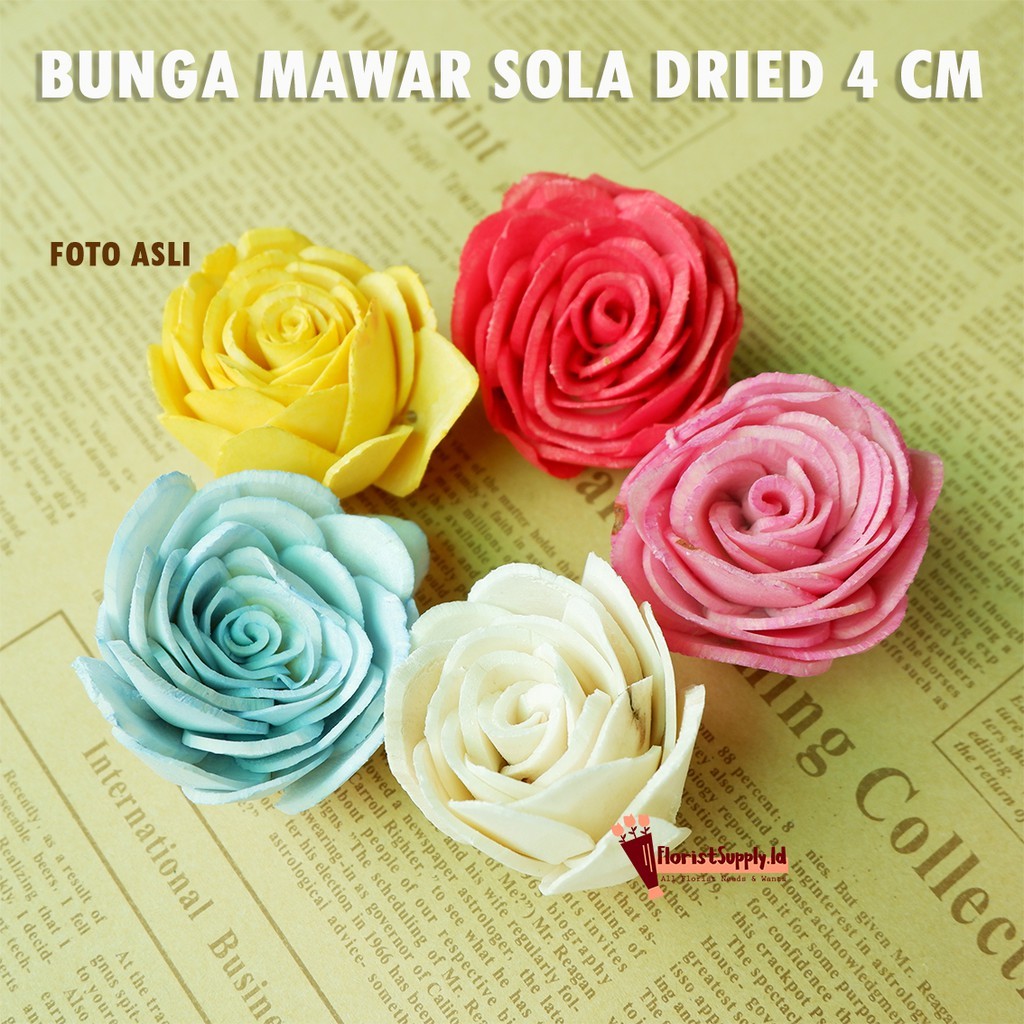 Bunga Mawar 4 cm Sola Wood Dried Flower Import / Bunga Diffuser