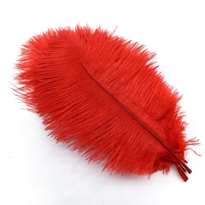 Isi 5 Bulu Ostrich Feather 20-25 Cm Bulu Ostrich Craft Dekorasi Props - Kuning