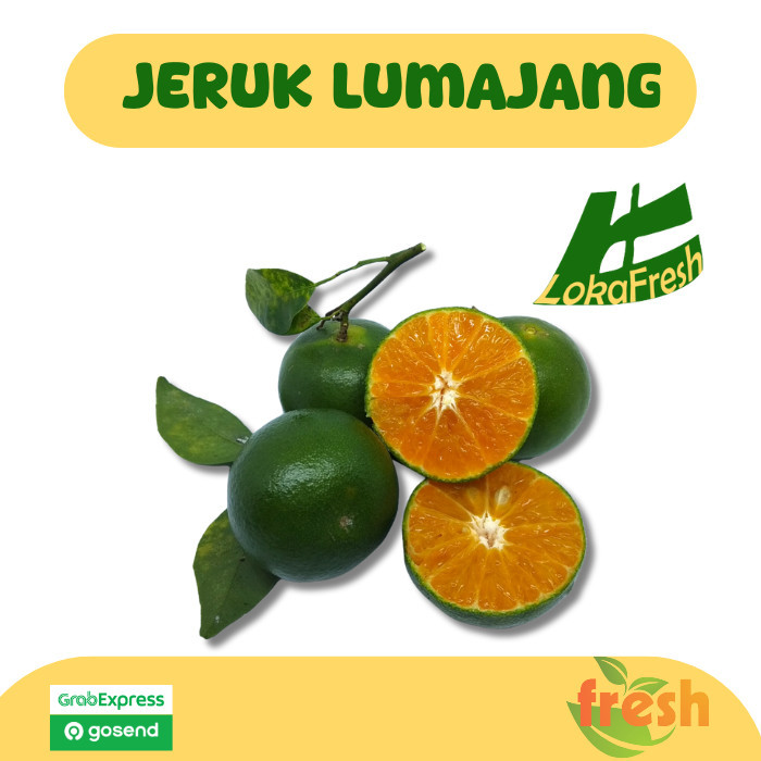 

Jeruk Lumajang Segar/ Tangerin Lumajang
