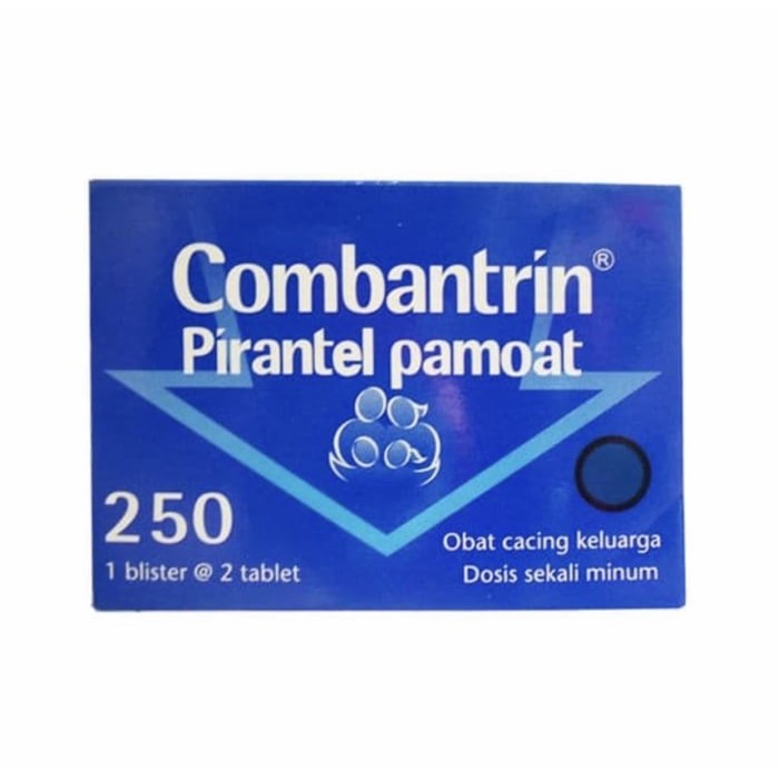 Combantrin Dewasa 250 mg Tablet