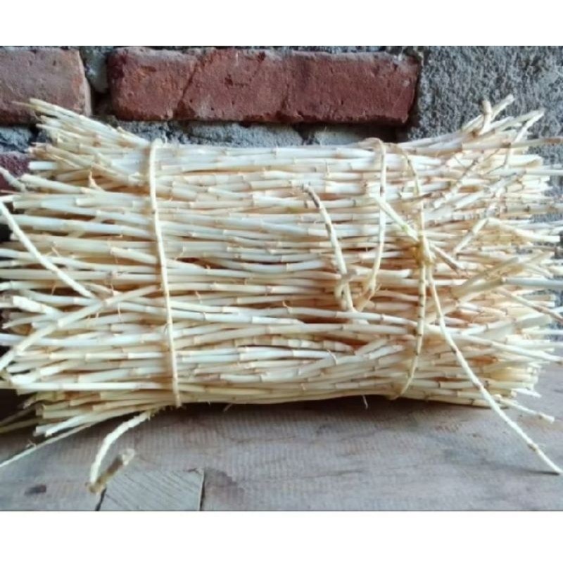 

AKAR ALANG ALANG SEGAR ready stok