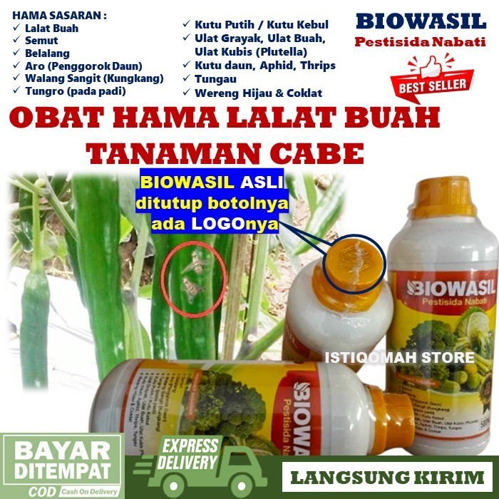 BIOWASIL ASLI 500ML Pestisida Nabati Obat Lalat Buah untuk Cabe - Obat Lalat Buah pada Tanaman Cabe 