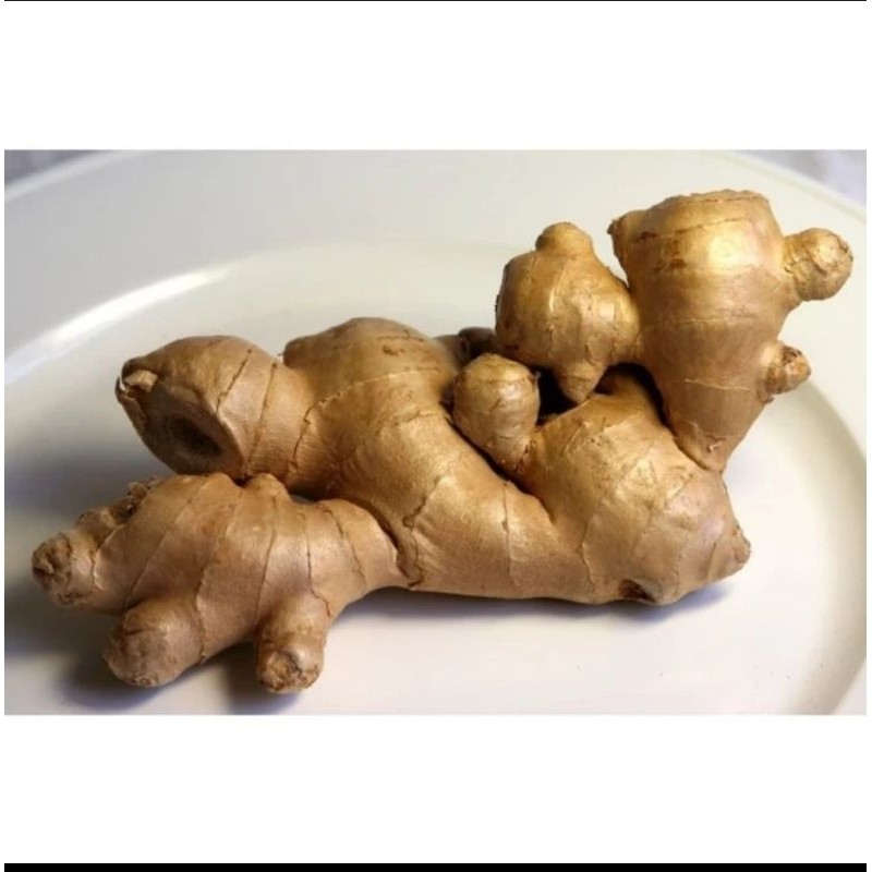 

jahe putih/ jahe gajah fresh