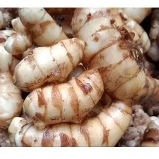 

KUNYIT PUTIH SEGAR ALAMI 1000 GRAM. OBAT HERBAL KANGKER