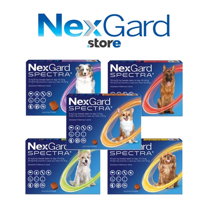NexGard Spectra Obat Kutu, Cacing, Demodex Anjing