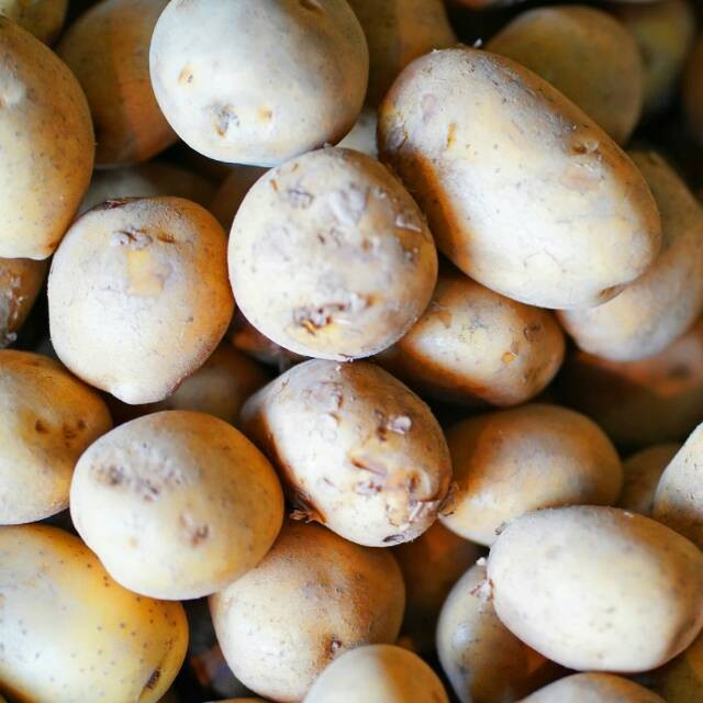 

PROMO Kentang Dieng Super 500 Gr Selalu Fresh