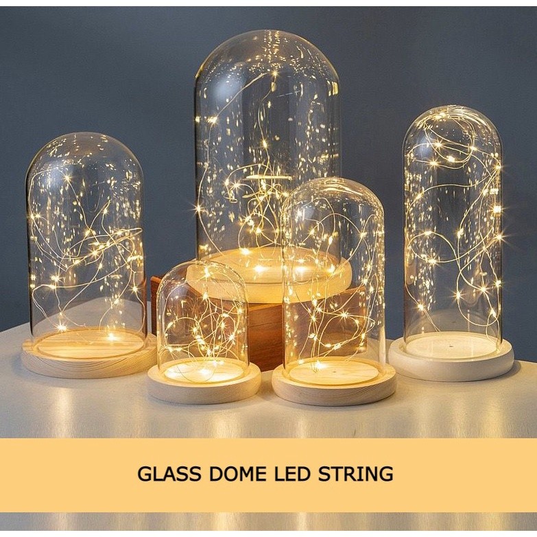 [Termasuk Lampu] Glass Dome Led String  / Flower Dome Light / Lampu Kubah Kaca Import
