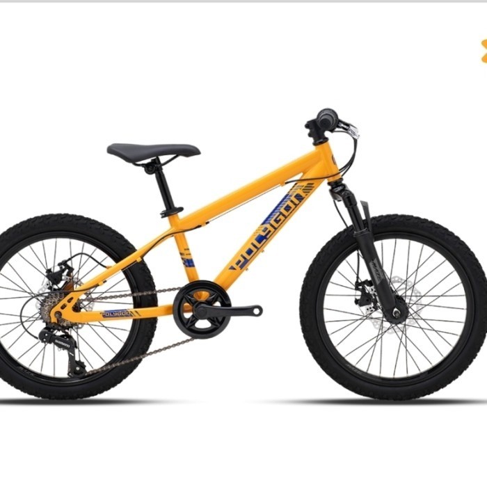 Polygon MTB Maze (20 inch) Sepeda Anak