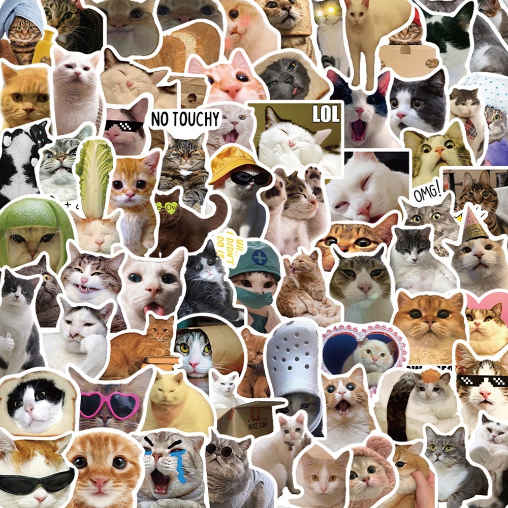 

10/50/100pcs Funny Cute Cat MEME Animals Stickers Kawaii Decals Scrapbooking Notebook Luggage Laptop Skateboard Sticker Toy