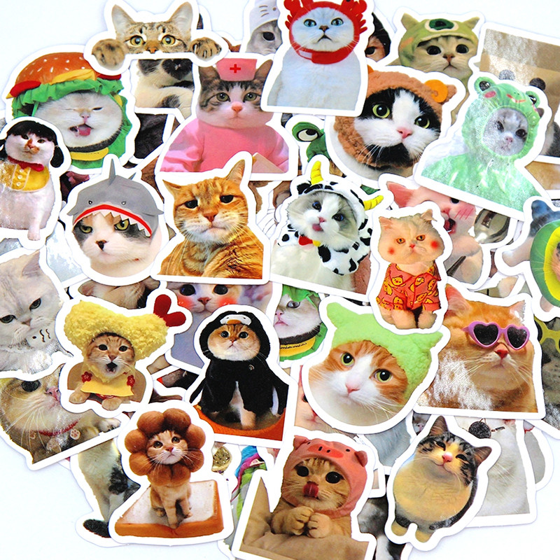 

10/50/100pcs Cute Funny Cat Pets Animals Graffiti Stickers Phone Guitar Laptop Notebook Suitcase Cup Waterproof Sticker Kids Toy