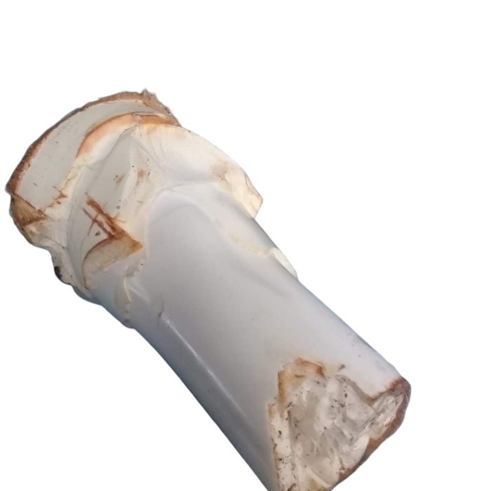 

Umbut Kelapa Fresh Segar Original 1000gr ( humbut kelapa segar)