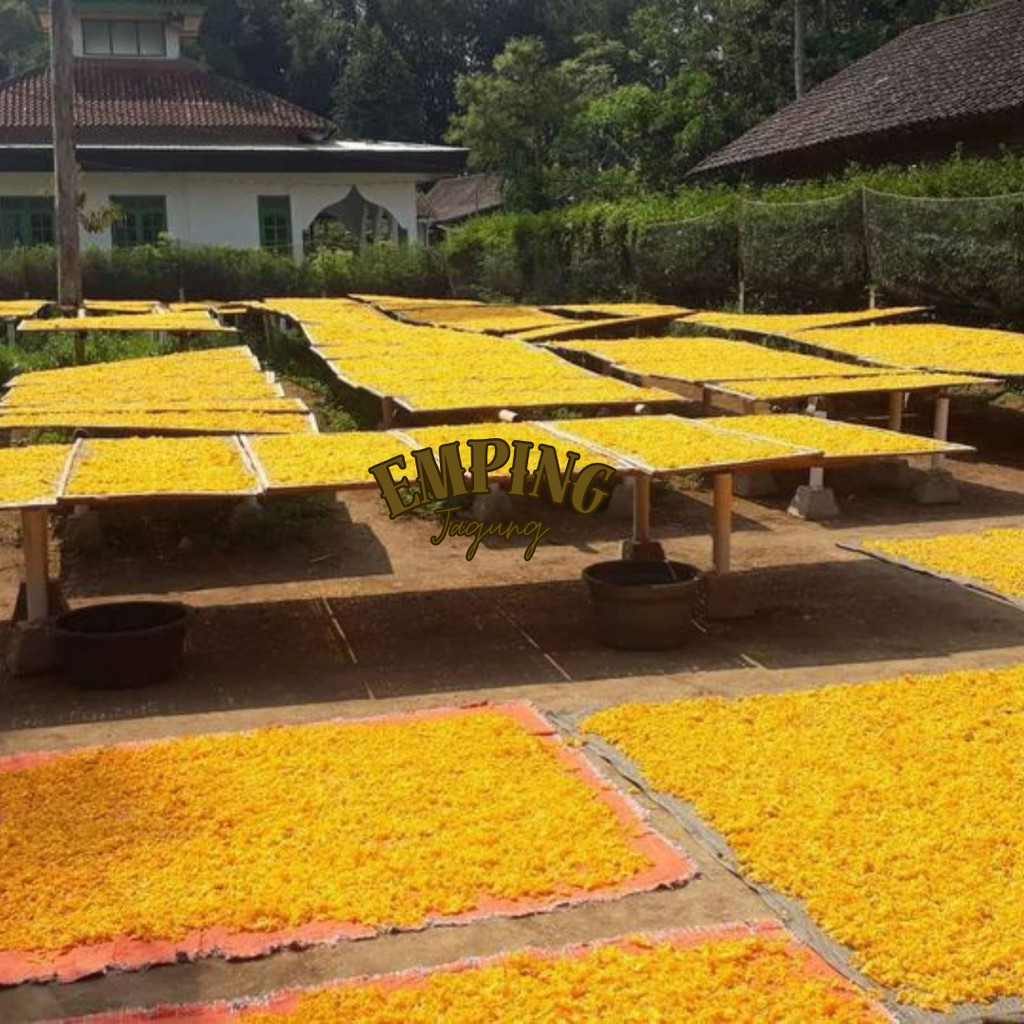 

emping jagung emping mentah 1 kg emping emping jagung mentah