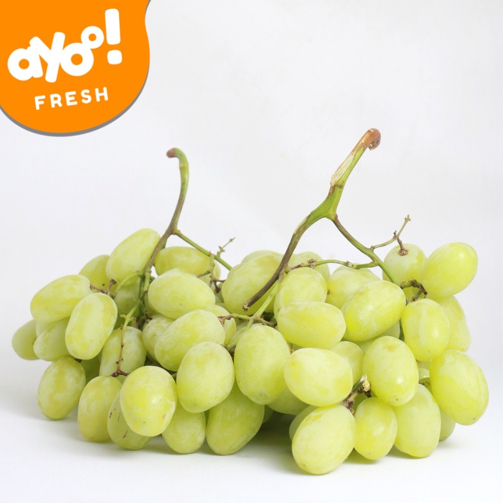 

Ay00! Hijau Thompson Pack 500 g