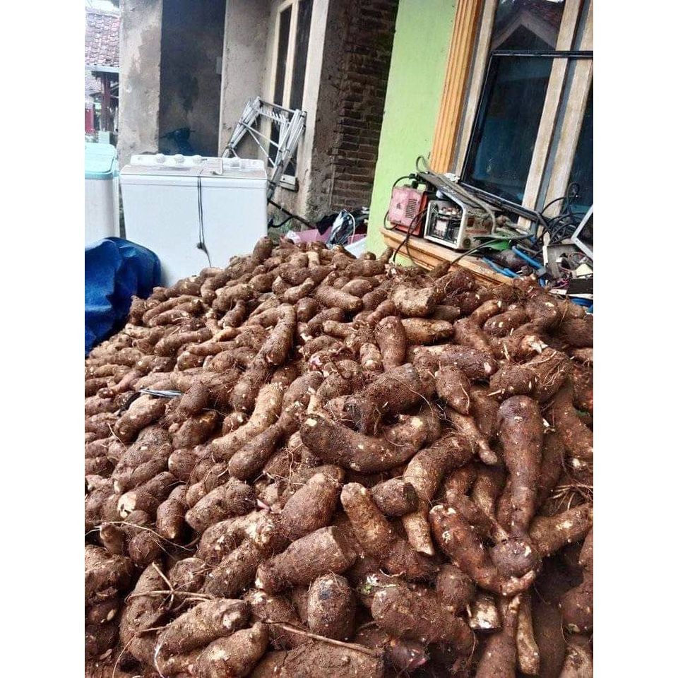 

READY Sale keripik talas pedas keripik kripik kimpul Termurah