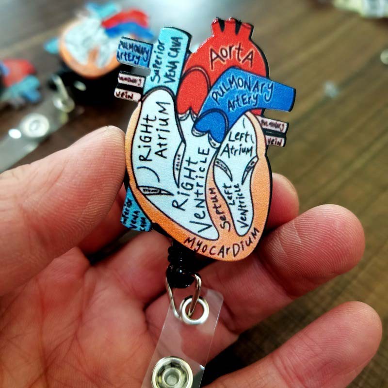 

New Acrylic Anatomical Heart Diagram Nurse Badge Reel Retractable ID Badge Holder With 360 Rotating Alligator Clip Name Holder