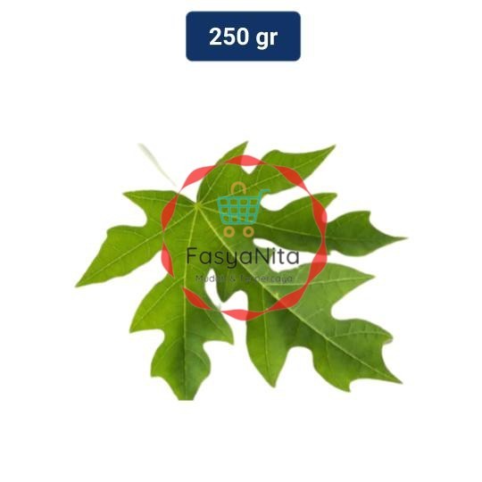 

Daun Pepaya Organik 250 gr - Fasyanita Denpasar
