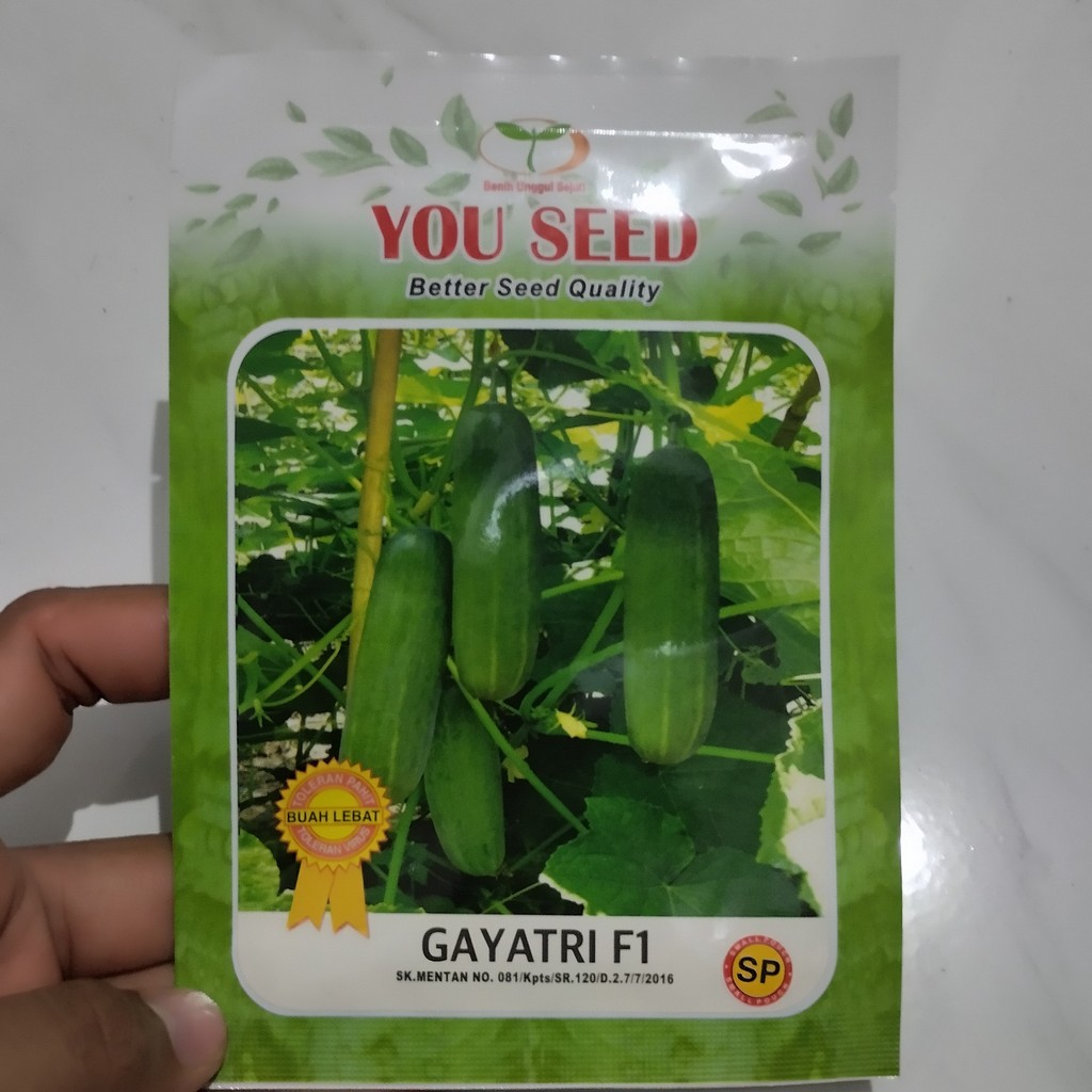 Benih Sp Timun Lalap GAYATRI F1 isi 200 Biji Bibit Hibrida You Seed Hibrida