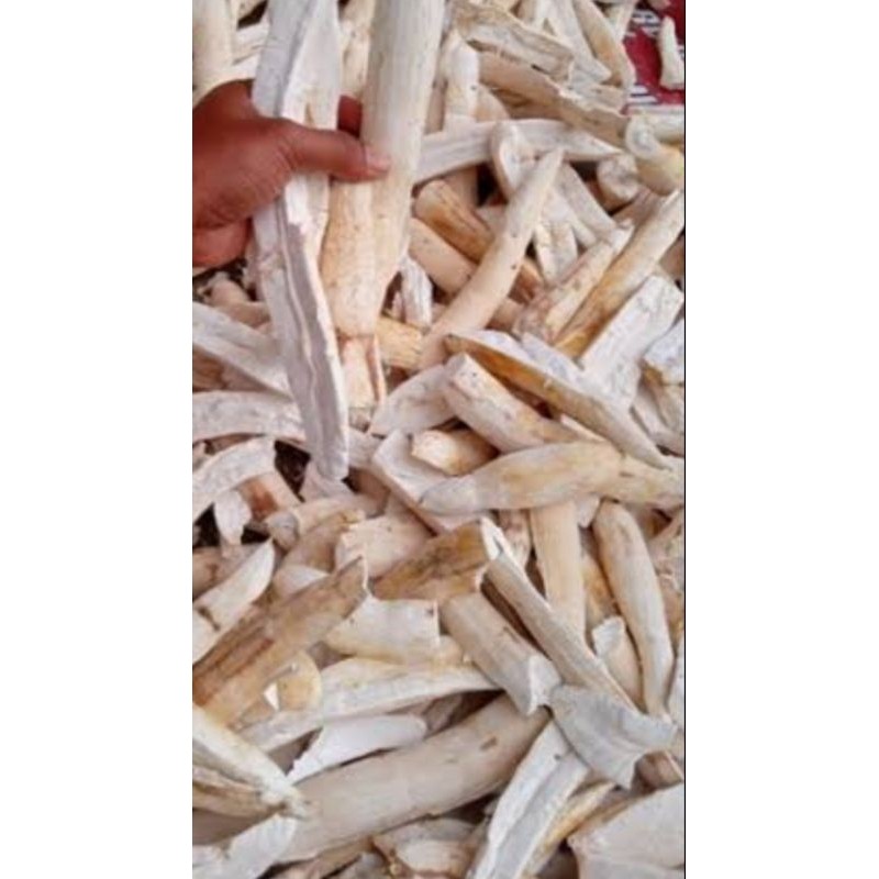 

Ubi Gaplek Singkong Kering / Karak Singkong Kering.1kg