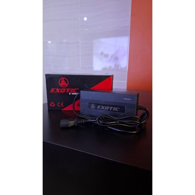 Exotic E-Bike Charger