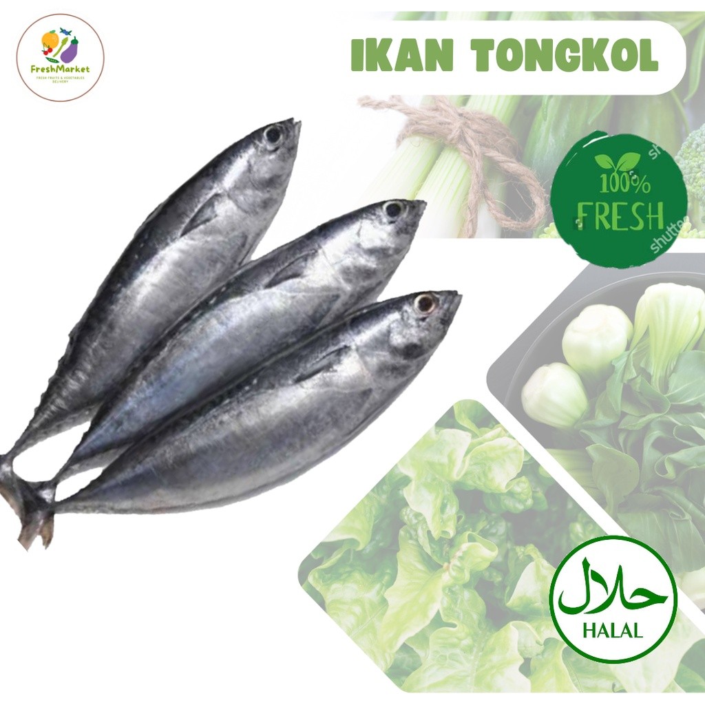 

Ikan Tongkol Segar 1 Kg Sayurinstant