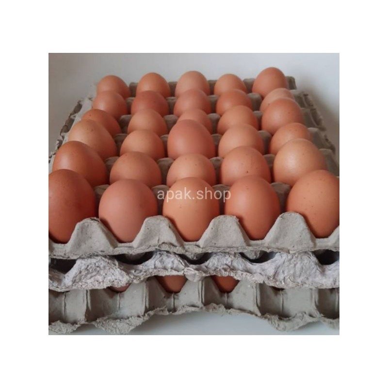 

Telur Ayam 1 papan (30 butir)