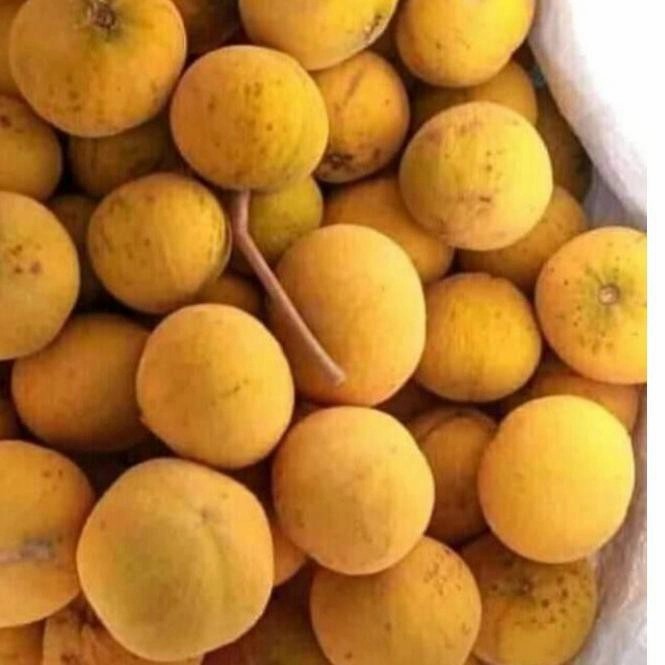 Buah Kecapi  Segar 1 KG Manis Asli