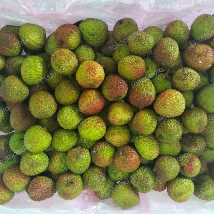 

Buah Leci Madu | Lychee Hijau Manis Daging Tebal | 1 Kg