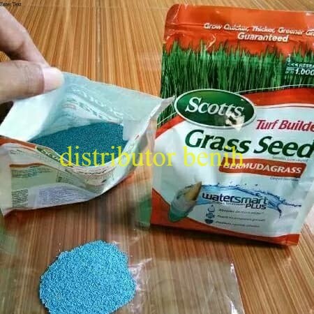 Jual Benih Rumput Jepang - Golf & Gajah Mini Rumput Hidup