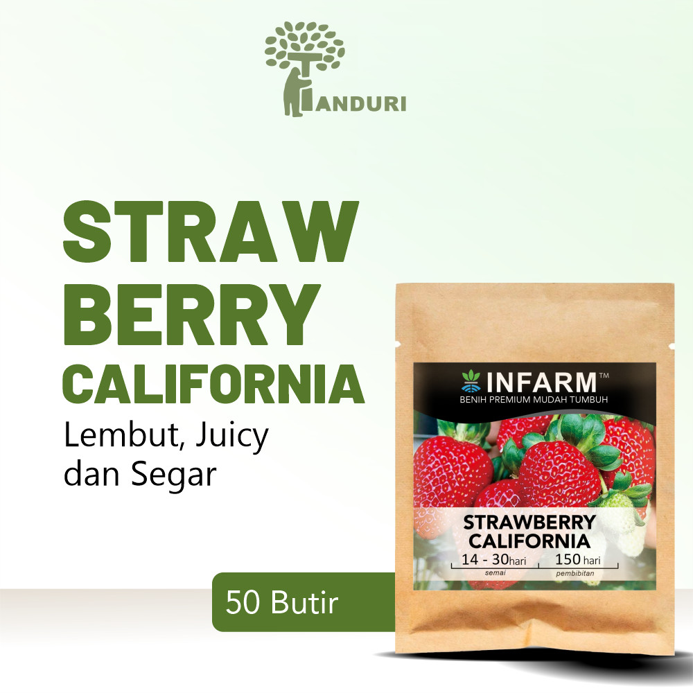 Tanduri - Bibit Strawberry California 50 Butir Benih Buah Strawberry Merah Besar Manis Segar Biji