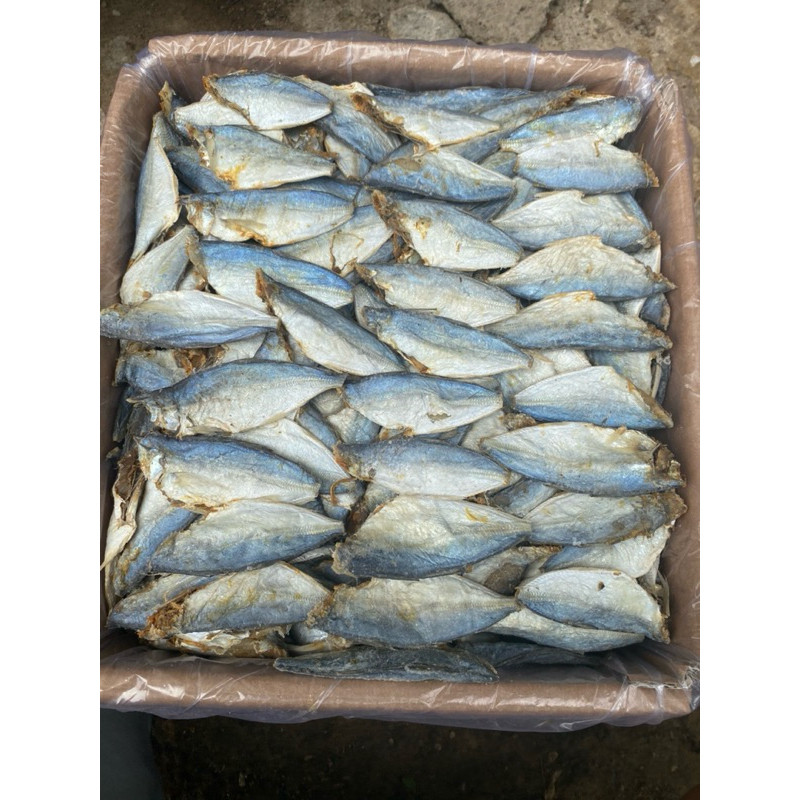 

Termurahikan asin peda buntung kecil/peda potong= 250g/500g/1kg best sellernew