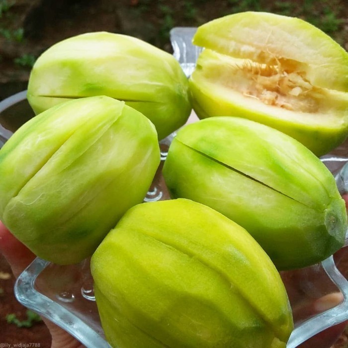 BIBIT BUAH KEDONDONG KARIMUNJAWA SUPER JUMBO