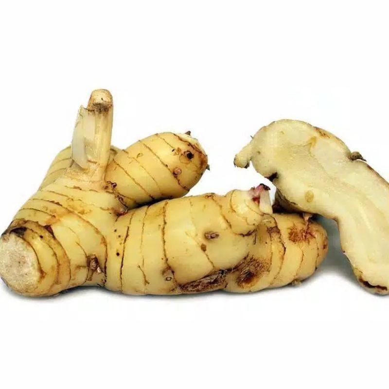 

Promo Laos segar bumbu masak 250gr /laja gunung bumbu masak sayuran COD (Aqis Organik)