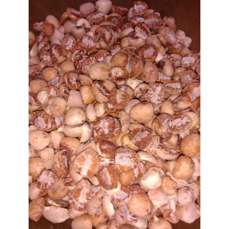 

Cod terbaik buah pinang kering termurah 1 kg terbaik '