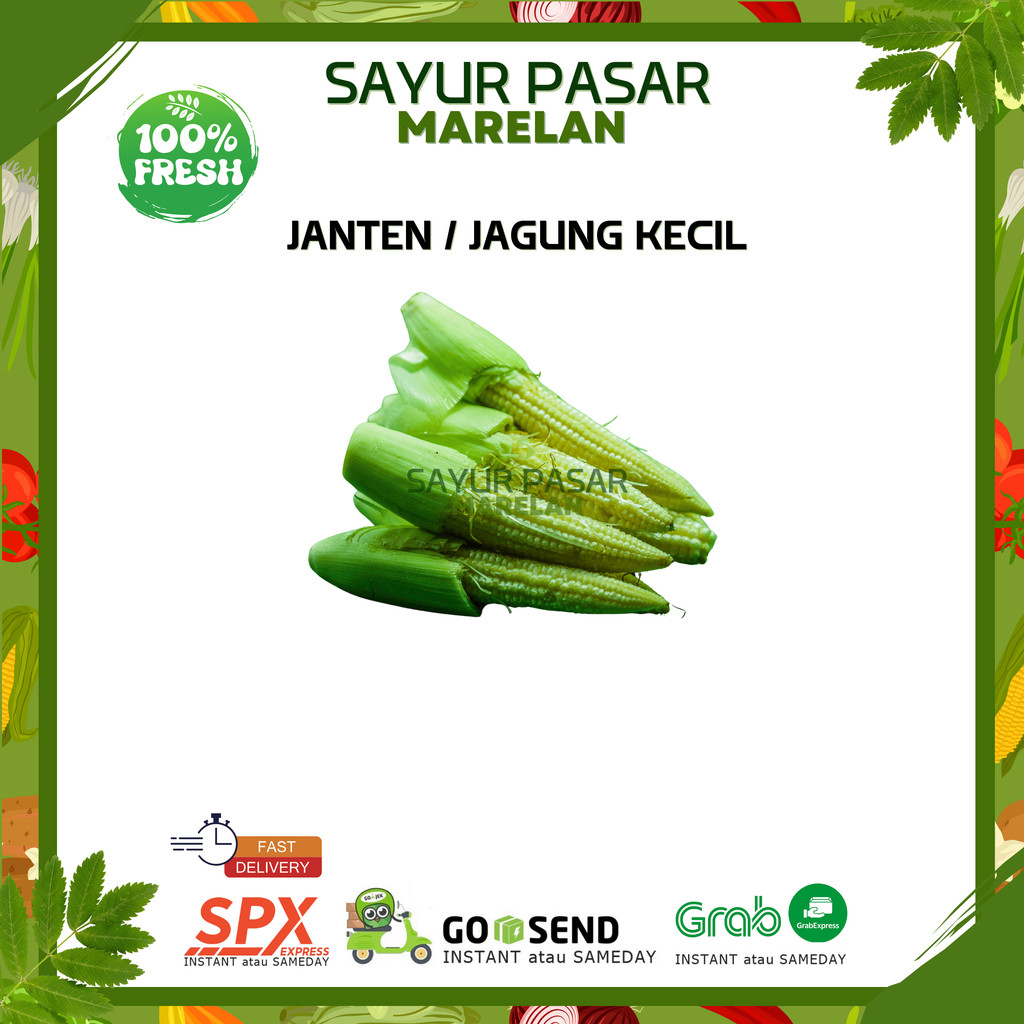 

JANTEN / JAGUNG KECIL / BABY CORN / JAGUNG MINI - 100gr 250gr 500gr