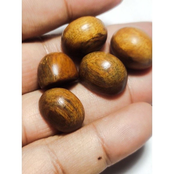 IMRON PRIBADI MATA CINCIN KAYU GAHARU RAMIN Kalimantan